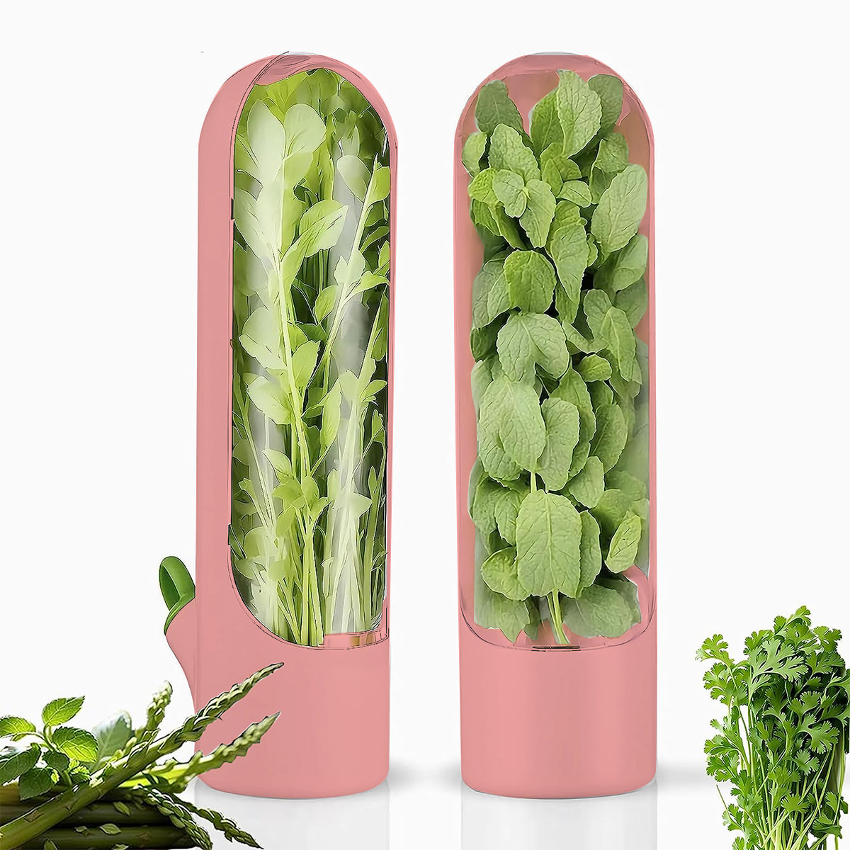 Geeignet Für Aufbewahrungsbehälter. Ideal Zur Aufbewahrung Von Kräutern Im Kühlschrank. Perfekt, Um Gemüse Wie Petersilie, Minze Und Spargel Frisch Zu Halten.