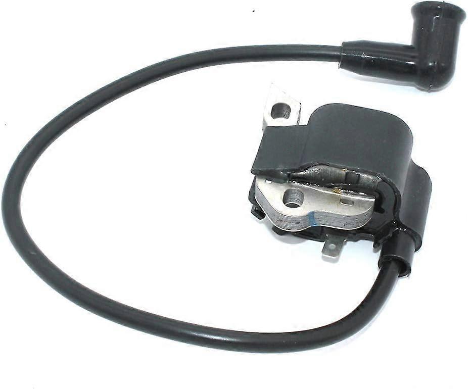 Zündspule Kompatibel Mit Dem Ryobi Homelite Craftsman Rückentrage-laubbläser Ry08420 Ry08420a 291424001