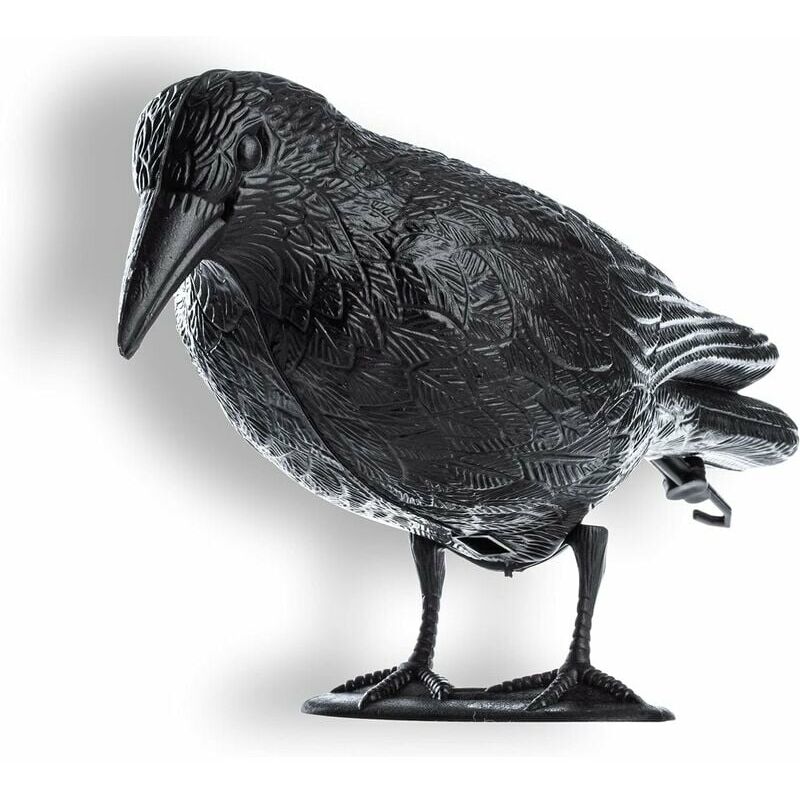 Abwehrmittel Gegen Krähen, Tauben Und Andere Unerwünschte Vögel (kunststoff). Natürliche Schädlingsbekämpfung. Kompatibel Mit Gebäuden In Bulgarien.