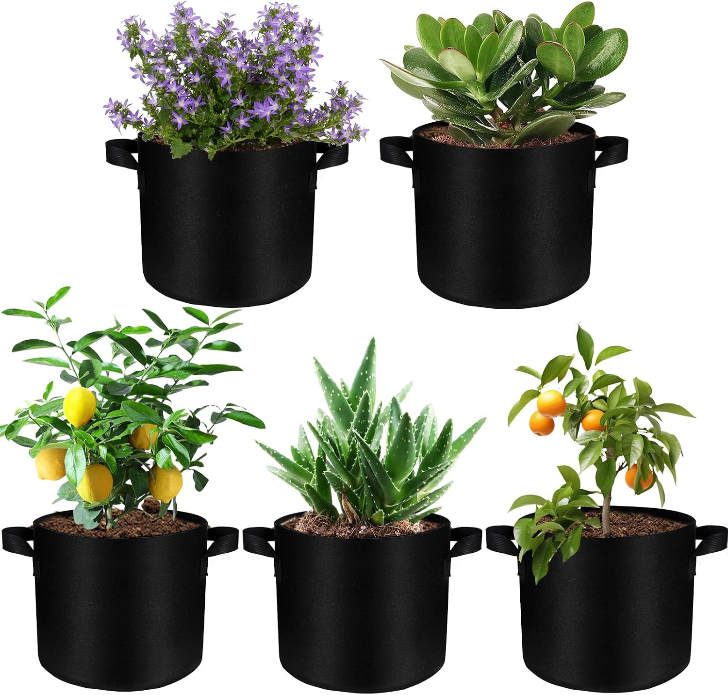 Set Mit 5 Pflanzsäcken À 20 Liter, 30 Cm Durchmesser, 25 Cm Höhe, Aus Vliesstoff Mit Griffen, Geeignet Für Pflanzen, Erdbeeren Und Blumen, 35 X 28 Cm, Schwarz.