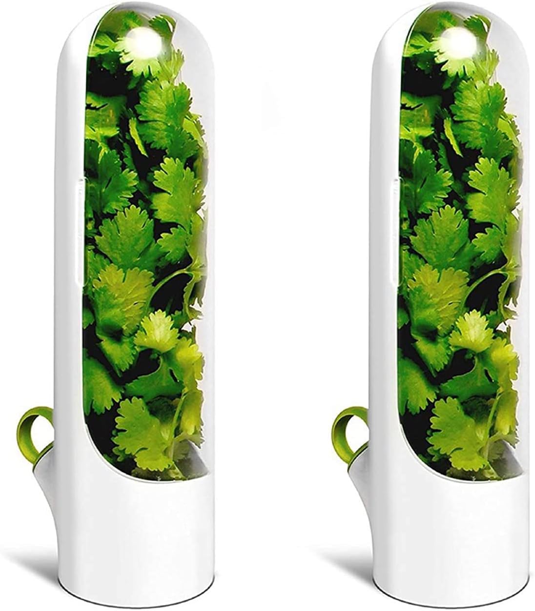 Set Mit 2 Kühlschrankgeeigneten Aufbewahrungsbehältern Für Kräuter. Transparente Behälter, Ideal Für Koriander, Minze Und Spargel.