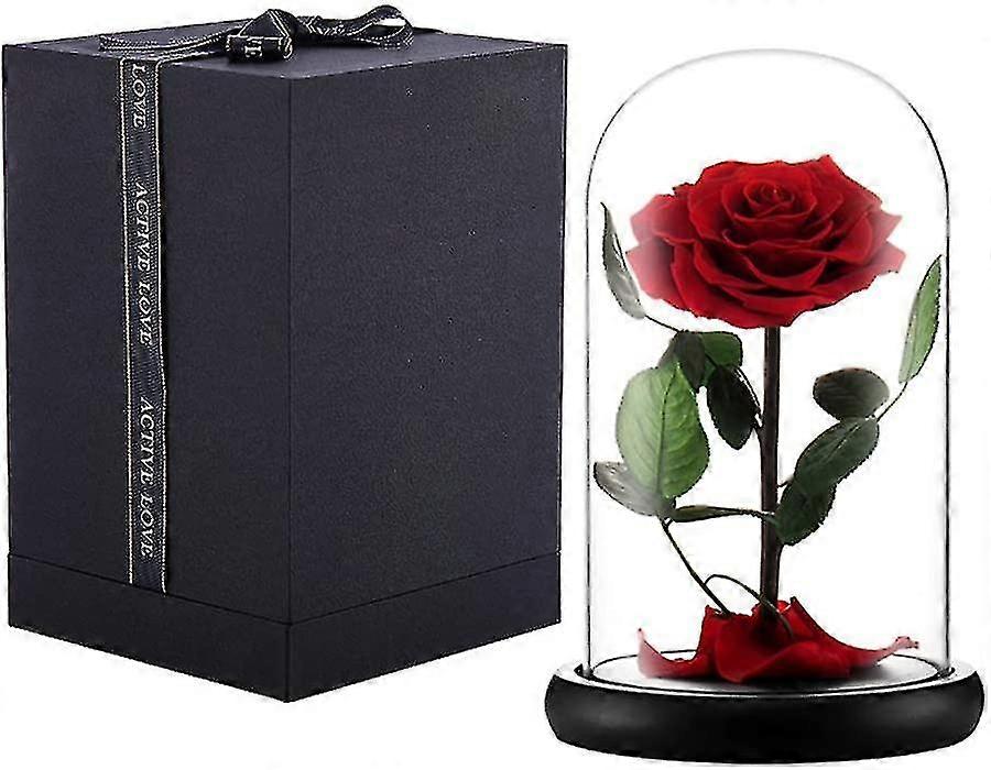 Konservierte Echte Rose, Ewige Rose Unter Einer Glasglocke, Ideales Geschenk Für Thanksgiving, Weihnachten, Valentinstag, Geburtstag, Muttertag (rot)
