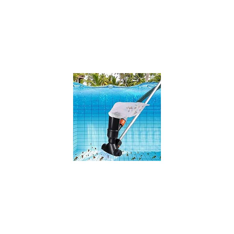 Tragbarer Poolroboter Mit Aluminiumgriff (schwarz), Poolreinigungsset, Kopf Mit Bodenbürste