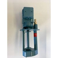 Kühlmittelpumpe 40W zu WFM 510 Bild 2