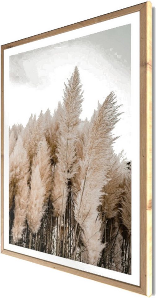 Bönninghoff Bild mit Rahmen Wandbild gerahmt PAMPASGRAS 50x70 cm – Natürliches Gräsermotiv in, Gräser, Natur, Pflanzen, Pflanzenbilder (1 St), mit dekorativem Rahmen