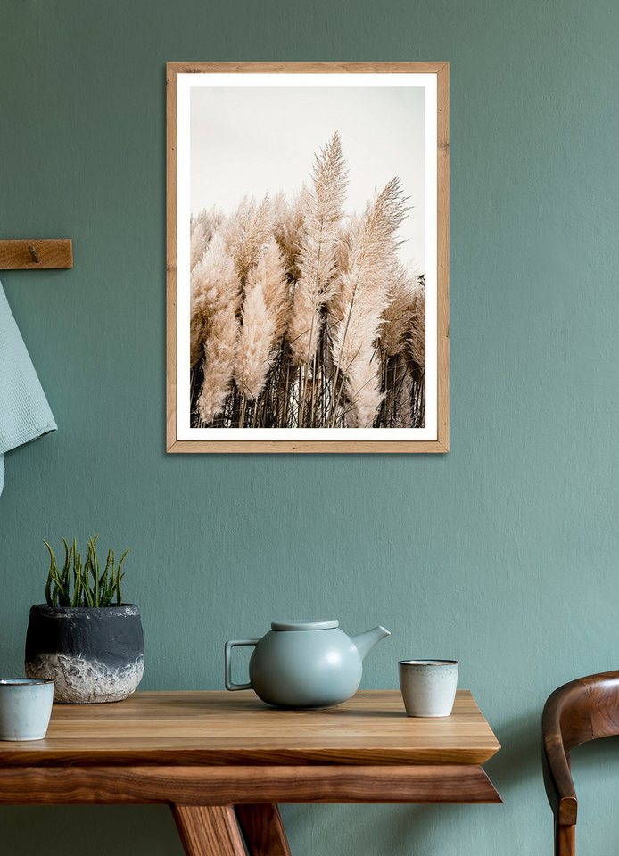 Bönninghoff Bild mit Rahmen Wandbild gerahmt PAMPASGRAS 50x70 cm – Natürliches Gräsermotiv in, Gräser, Natur, Pflanzen, Pflanzenbilder (1 St), mit dekorativem Rahmen Bild 4