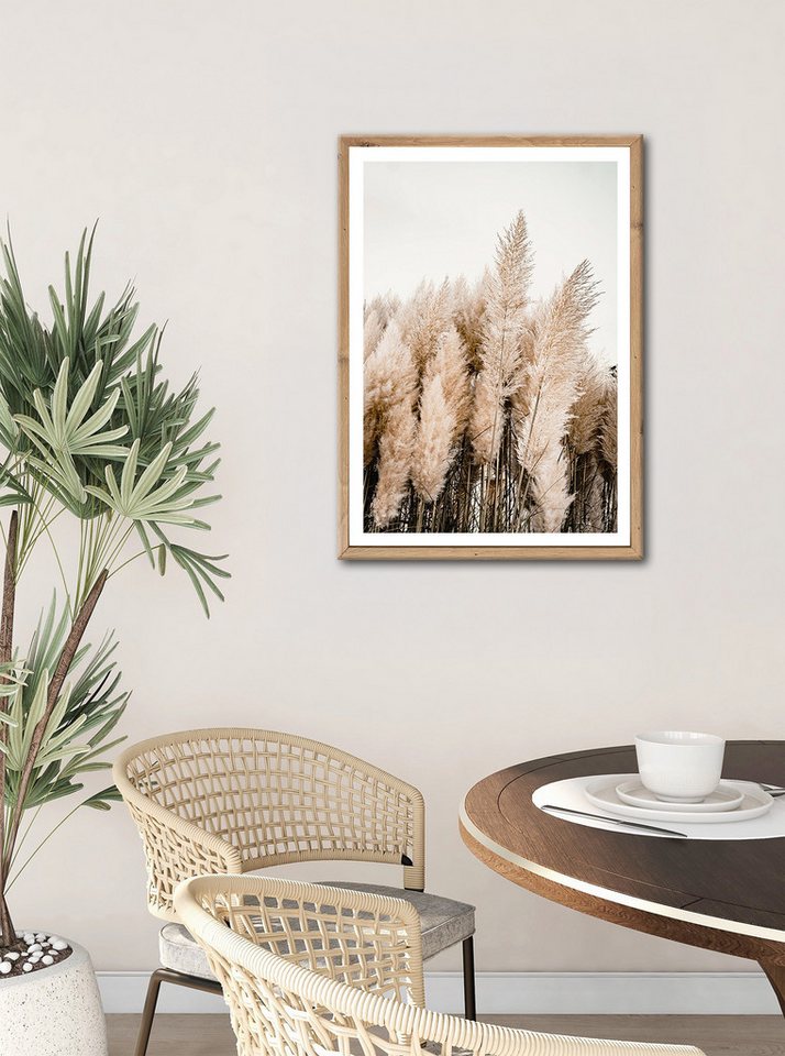 Bönninghoff Bild mit Rahmen Wandbild gerahmt PAMPASGRAS 50x70 cm – Natürliches Gräsermotiv in, Gräser, Natur, Pflanzen, Pflanzenbilder (1 St), mit dekorativem Rahmen Bild 5