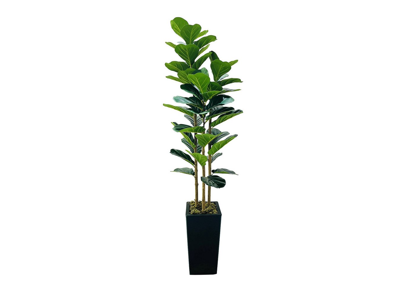 Kunstpflanze Künstlicher Geigenblatt Feigenbaum mit Pflanzenbaum für Innenbüro, GarveeMore Bild 3