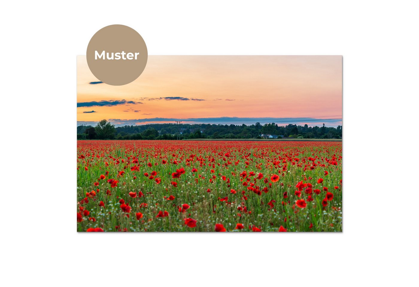 KitchenYeah Küchenrückwand Muster selbstklebend (keine Folie) Mohnblumen - Landschaft - Rot - Blu, (1-tlg), Spritzschutz, Küche, Rückwand, Küchenwand, Küchenfront, 30x20 cm Bild 3