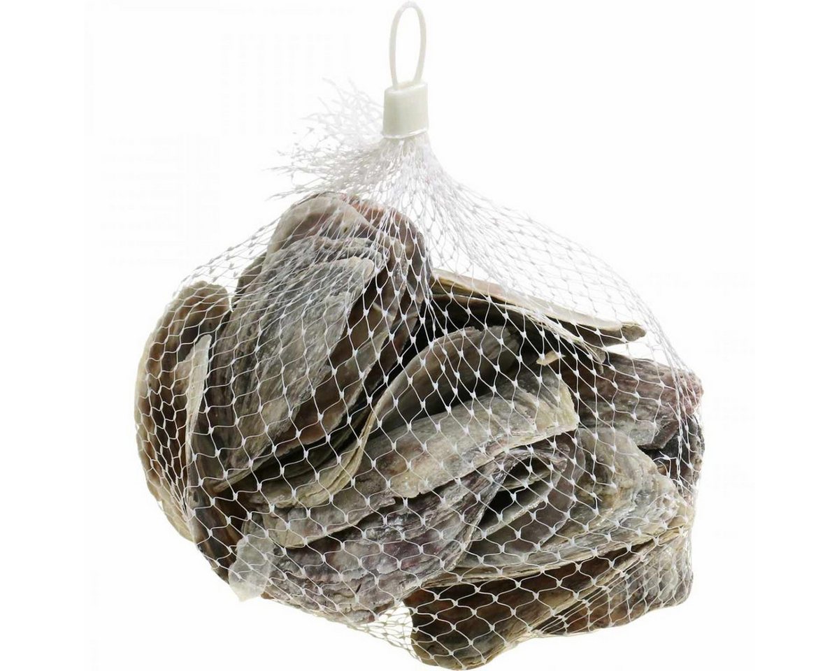 Viana Bastelnaturmaterial Capiz Muscheln Deko Natur Perlmutt Violett 8–14cm 1kg Bild 2