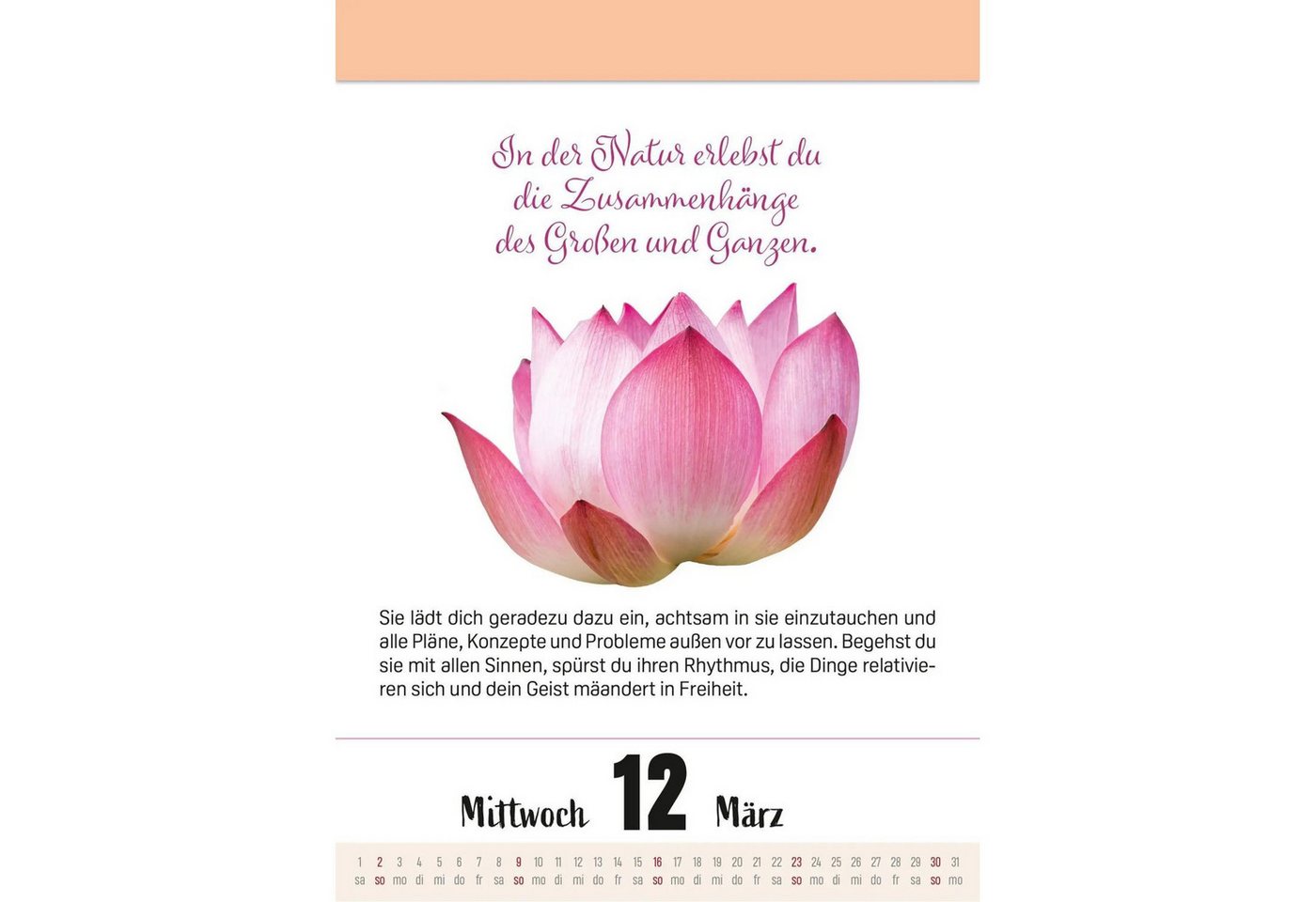 Lingen Abreißkalender Ein Jahr voller Achtsamkeit Abreißkalender 2027 - Abreißkalender...