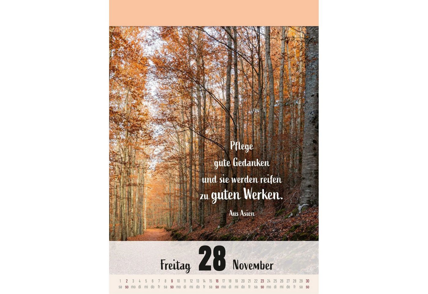 Lingen Abreißkalender Ein Jahr voller Achtsamkeit Abreißkalender 2027 - Abreißkalender... Bild 3