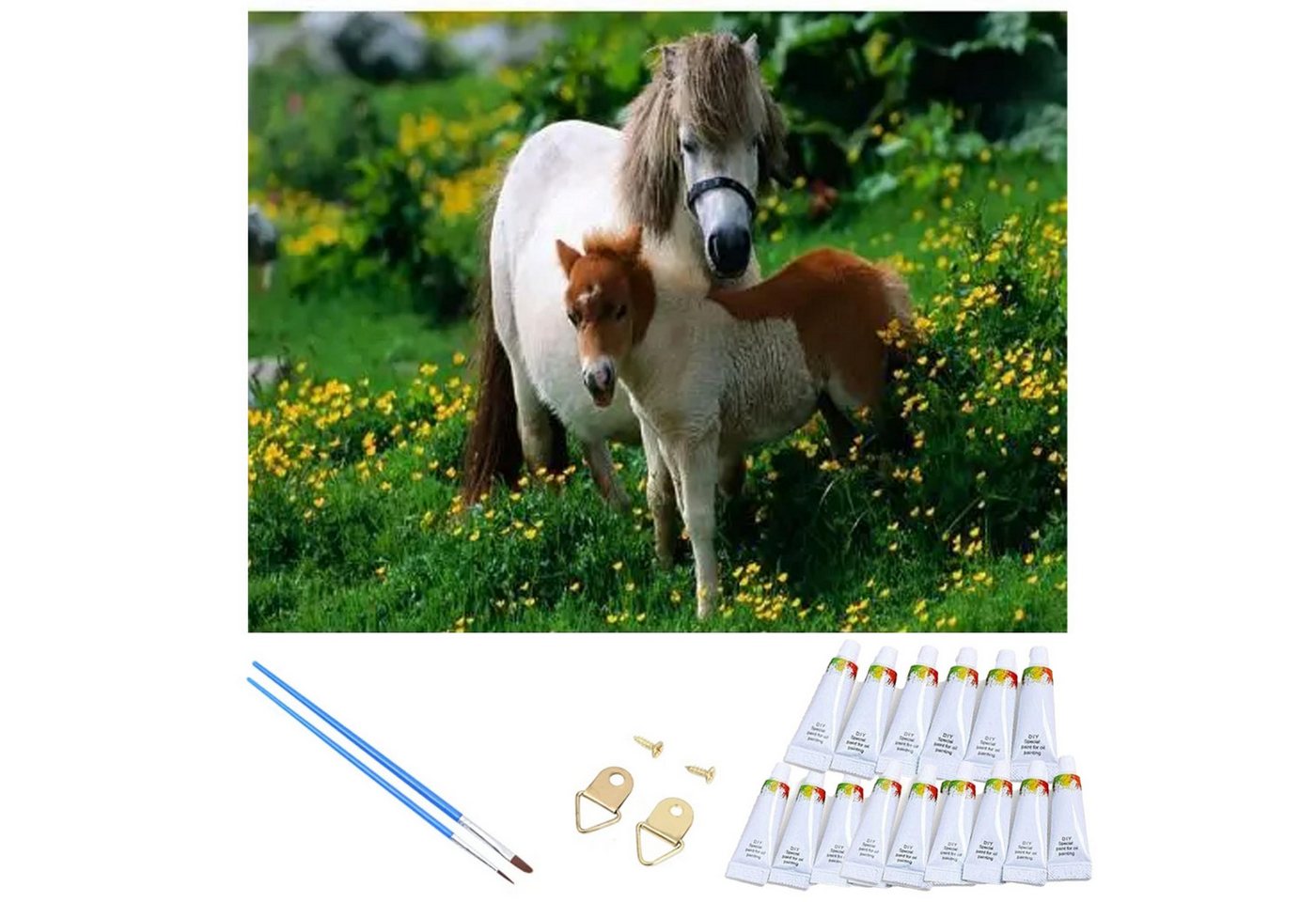 Realb2b Malen nach Zahlen XL Pony Malset – Kreatives Malen nach Zahlen mit Rahmen 40x50cm (Komplettes Malset: Kreatives Malen nach Zahlen mit Rahmen und Farben, Malen nach Zahlen Set: Leinwand 40x50cm, Acrylfarben, Pinsel, Rahmen), Pony Malset: Hochwertige Leinwand 40x50cm mit Acrylfarben & Rahmen Bild 3