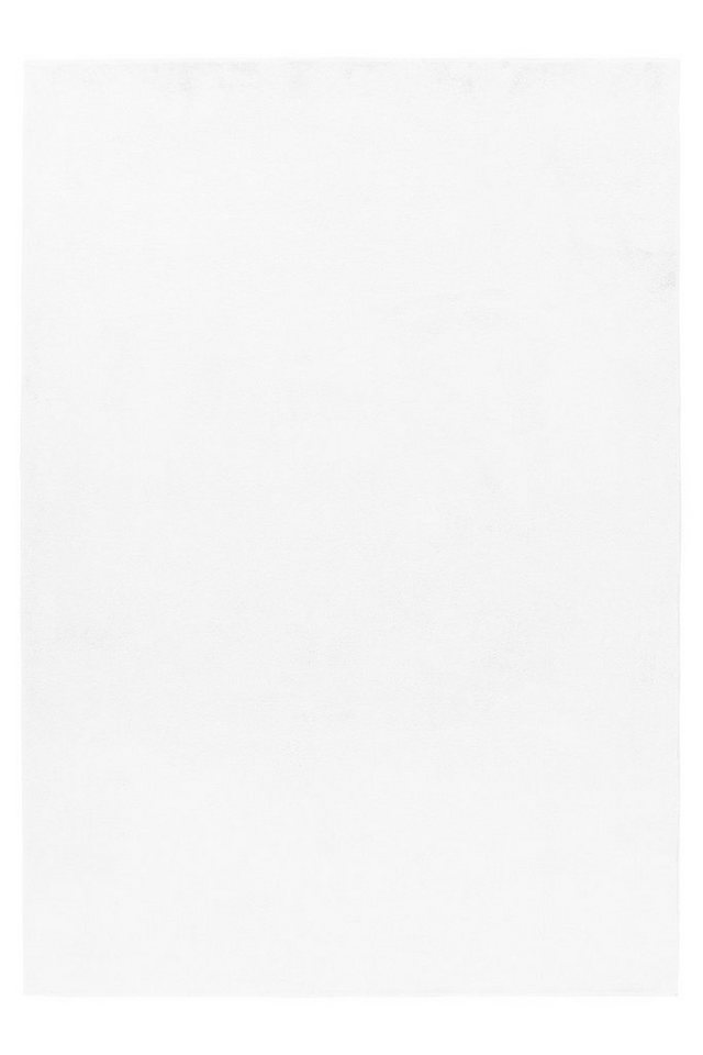 Stilvoll Günstig Hochflor-Teppich Teppich für den Flur oder Küche Unicolor - Einfarbig, Läufer, Höhe: 20 mm Bild 5