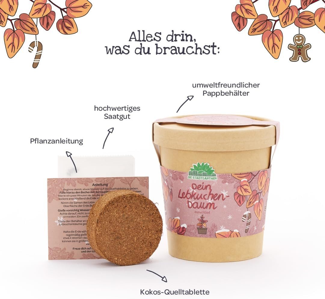 Die Stadtgärtner Anzuchttopf Lebkuchenbaum Anzuchtset von "Die Stadtgärtner", Geschenkidee (1 St) Bild 2