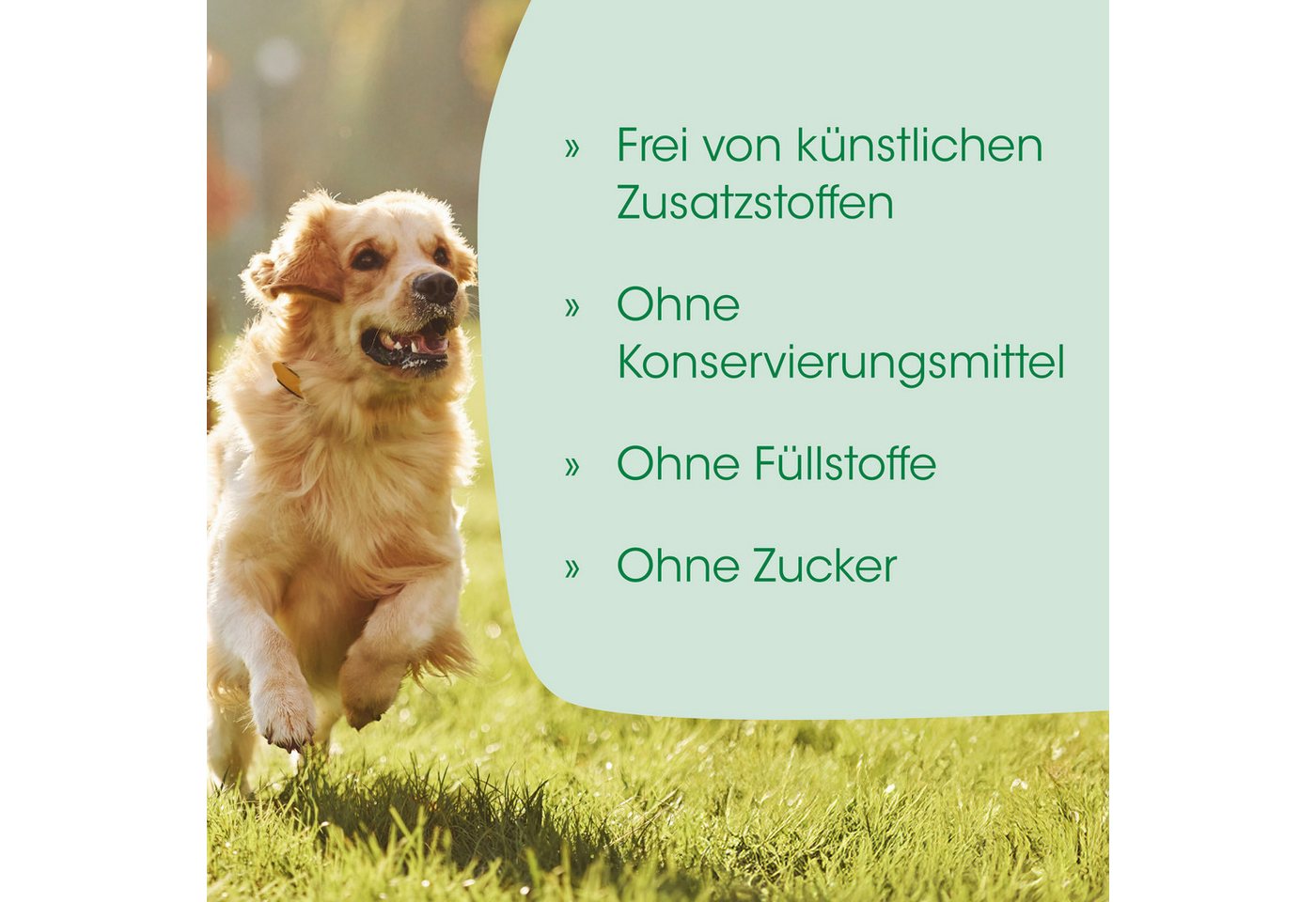 cdVet Milbenspray Kieselgur, 50 g, Kieselgur kann nicht überdosiert werden. Bild 5