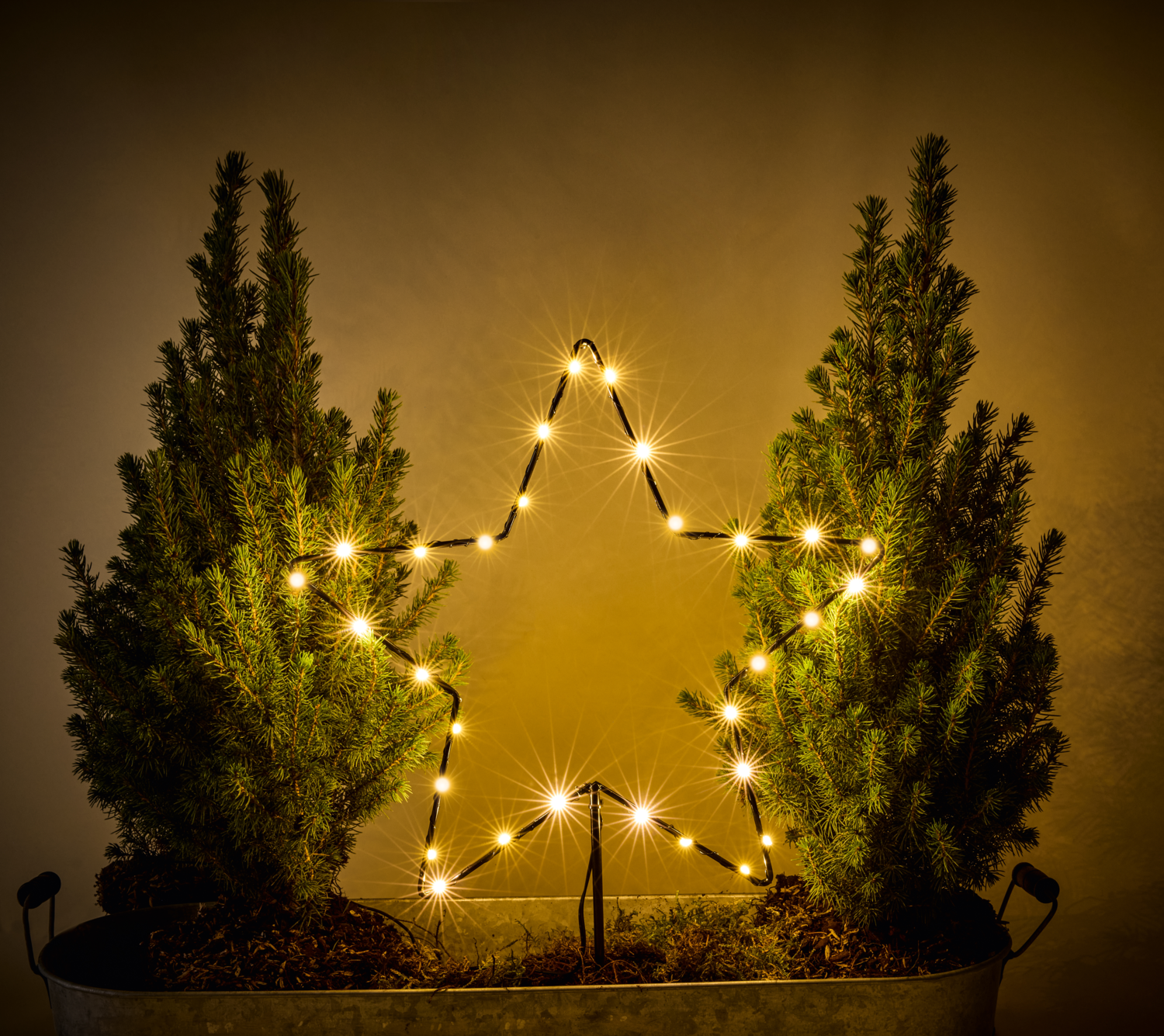 LIVARNO® Garten Dekostecker Weihnachten LED (Stern)
