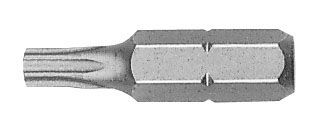 Witte 25mm Sicherheits-torx-bits Im Kunststoffkoffer, Modell Ts 25.