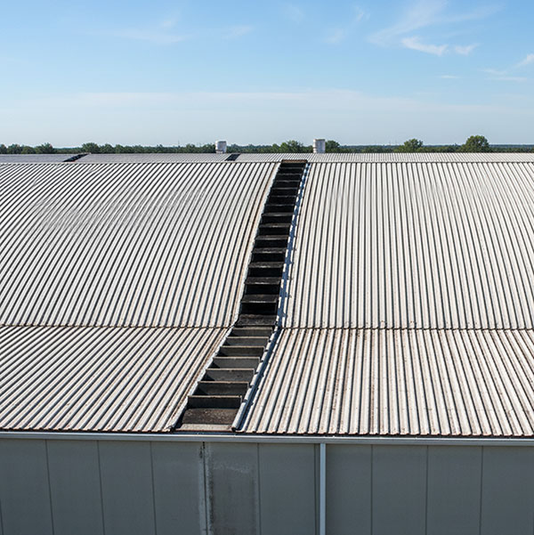 50 Massive Gummileitern 1.60 X 0.40m - 320501-320503/50