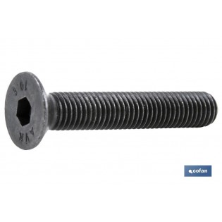 Din-7991 C-10.9 M-14 X 80 Negro