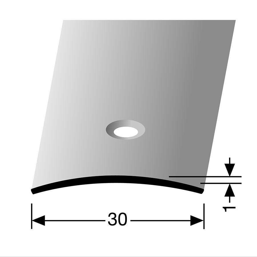 PARKETTFREUND Übergangsprofil Edelstahl matt gebürstet Schrauben und Dübel Übergangsschiene grau, 100 cm, 1 mm,30 mm