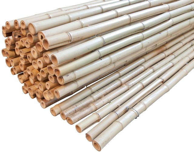 Windhager Sichtschutzmatte Bambusmatte Ontake natur Bambus 180x180 cm günstig