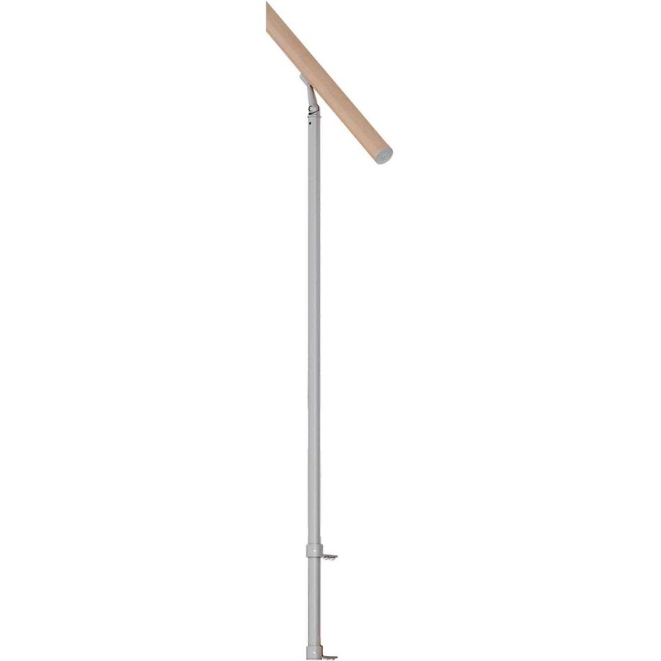 DOLLE Geländerelement inkl. Holzhandlauf für Mittelholmtreppen Cork, Dublin, Basel günstig