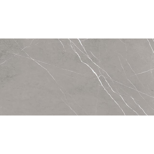 Wellker Fliesen Hermosillo Dunkelgrau glasiert matt rektifiziert Stärke 9 mm, 30x60 cm, 1 Pack