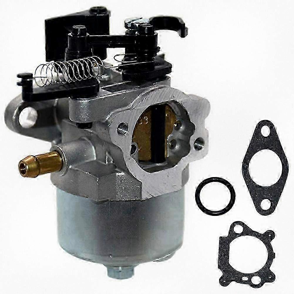 Briggs & Stratton 700/750 Vergaser-reparatursatz, Kompatibel Mit Rasenmähermodellen 792038, 591852, 793493 Und 793463