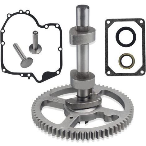 Briggs & Stratton Nockenwelle 793880, Dichtung 793583, 792681, 791942, 795102, 697110, H465 (hk)