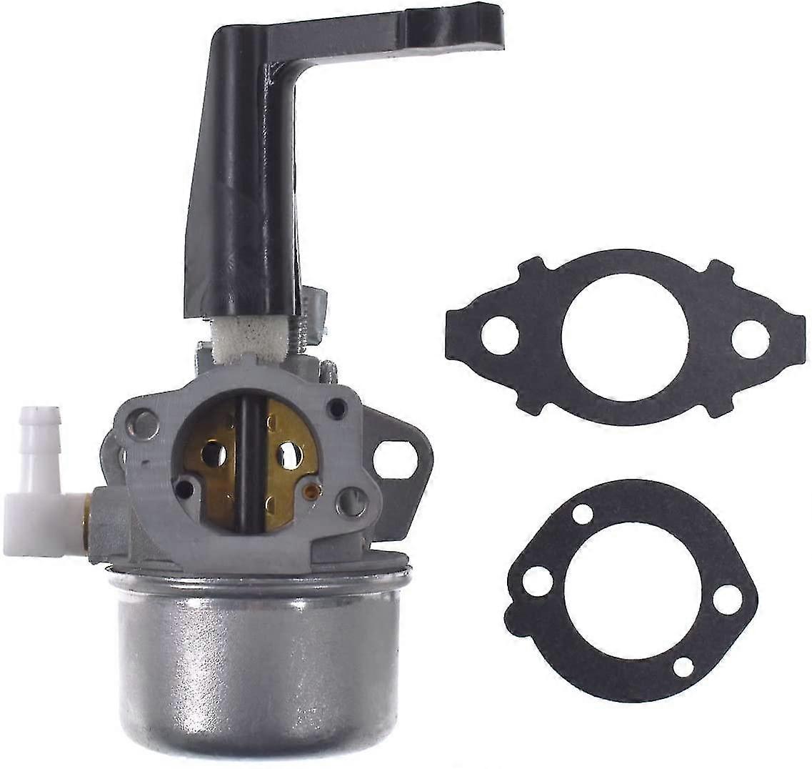 Ersatzvergaser 696065 Mit Dichtungssatz, Kompatibel Mit Briggs & Stratton