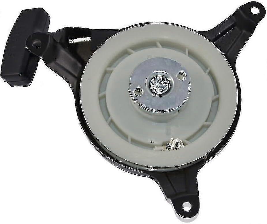 Rückstoßstarter Kompatibel Mit Dem Einhell Gc-pm 46 S Rasenmäher