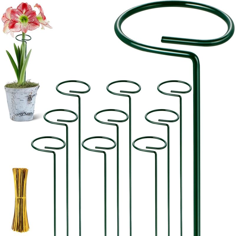 10 Metall-pflanzenstützen, Geeignet Für Amaryllis, Lilien Und Pfingstrosen