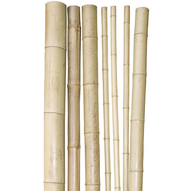 Windhager Bambus-Pflanzstab 250x4,5-6 cm günstig