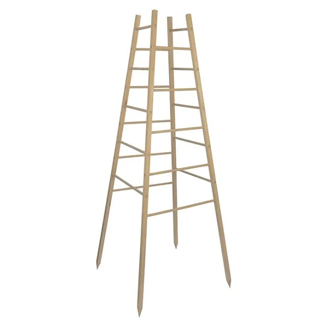 Windhager Holz-Rankhilfe Pyramide 50x50x145 cm günstig