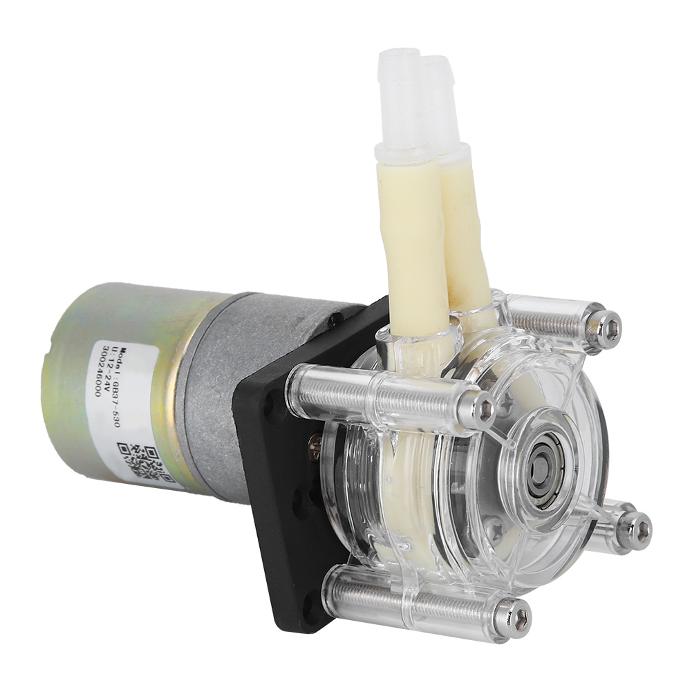 Peristaltische Pumpe, Selbstansaugend, Radrahmen Aus Edelstahl, Transparenter Pc-kopf, Gleichstrommotor (24 V)
