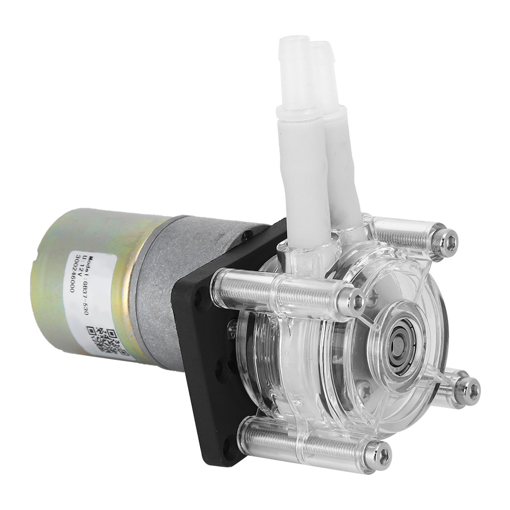 Peristaltische Pumpe, Selbstansaugend, Radrahmen Aus Edelstahl, Transparenter Pc-kopf, Gleichstrommotor (12 V)