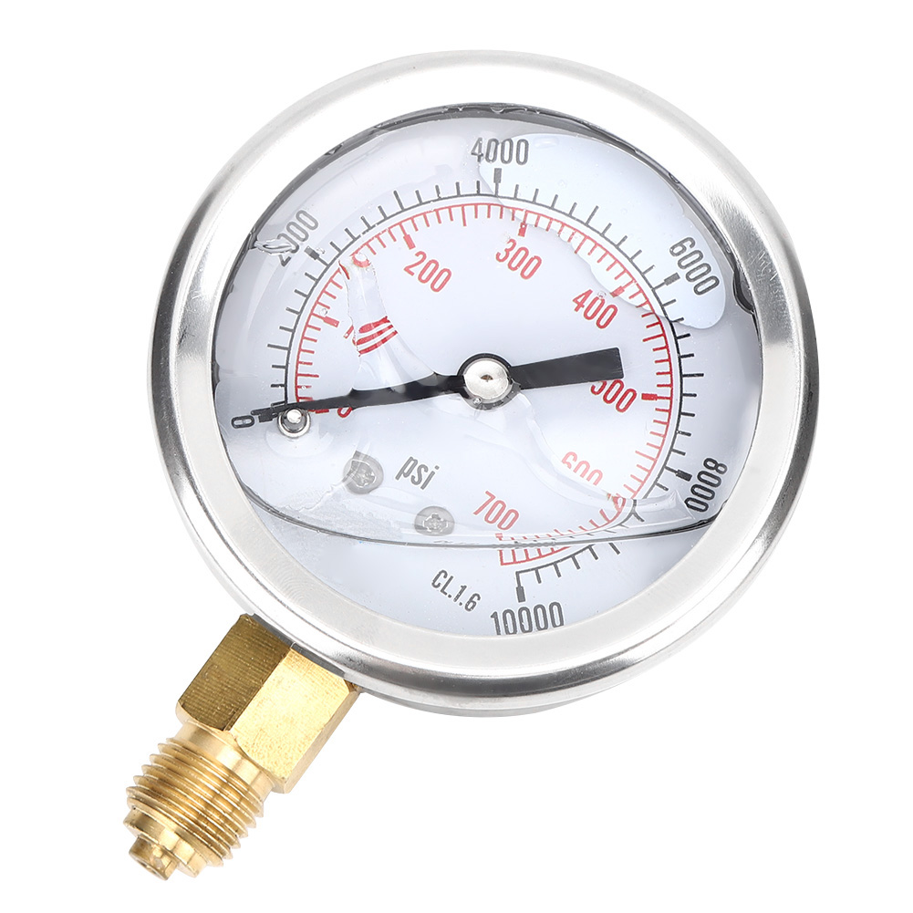 Ts® Pgg604® 700 Bar 1/4bsp Y60 Radialmanometer Für Die Druckmessung Im Haushalt