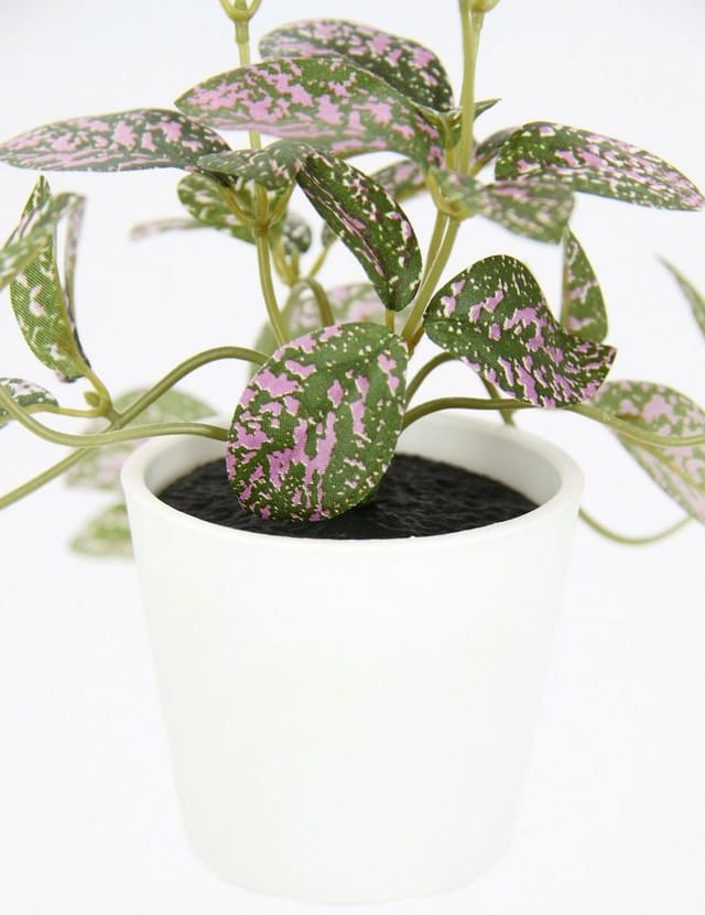 Kunstpflanze Künstliche Zimmerpflanze mini Aucuba im Topf Pflanze, I.GE.A., Höhe 14 cm, Seidenblumen Hängepflanzen rankende Blattpflanze hängend Grünpflanzen