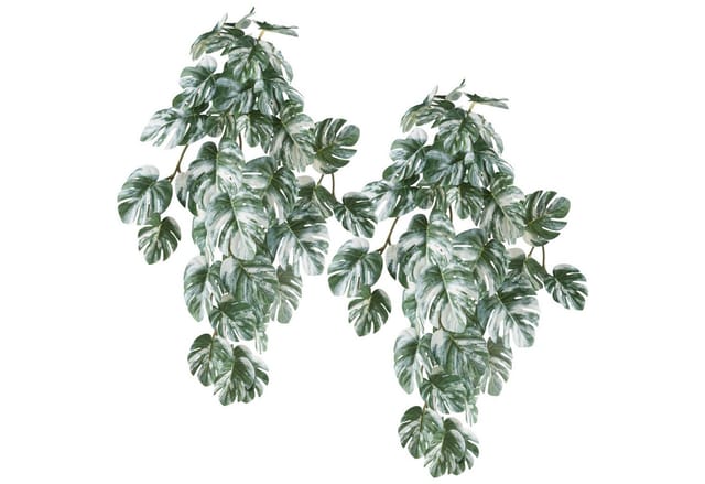 Kunstranke Hängepflanze Splitphilodendron variegata, Creativ green, Höhe 48 cm, mit naturgetreuem Blattwerk