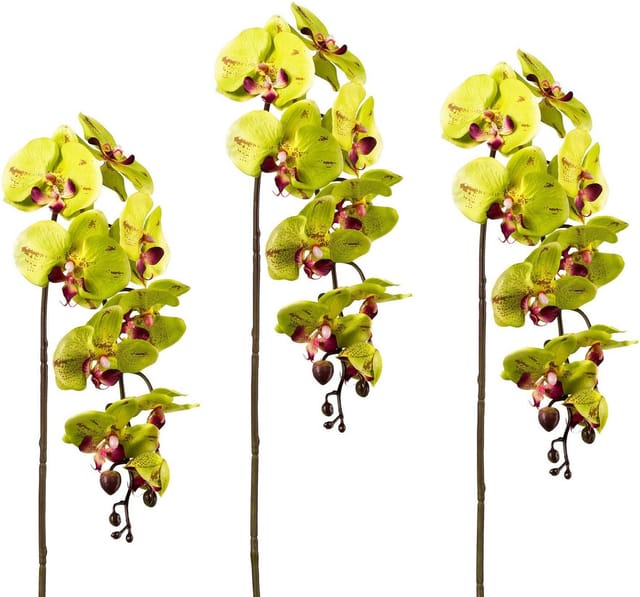 Kunstpflanze Orchidee, Creativ green, Höhe 98 cm, 3er Set