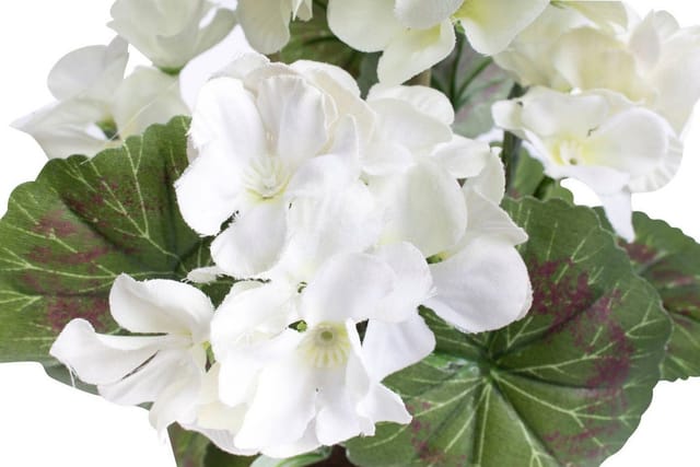 Kunstblume Geranienbusch mit 6 Blütenköpfen, Botanic-Haus, Höhe 30 cm