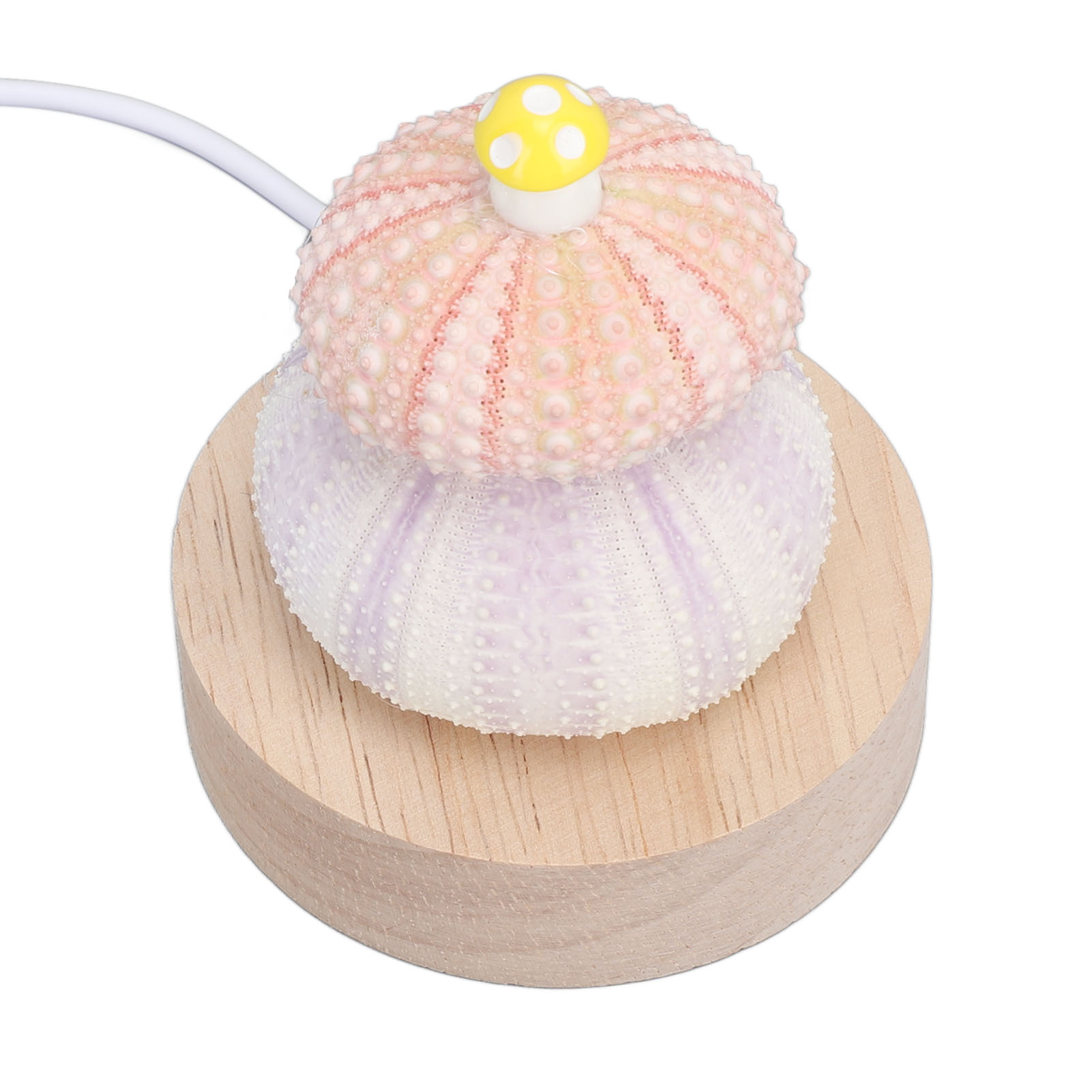 Led-nachtlicht, Warmweiß, Usb-anschluss, Natürliches Muschelgehäuse, Niedliche Pilzdekoration, Nachttischlampe