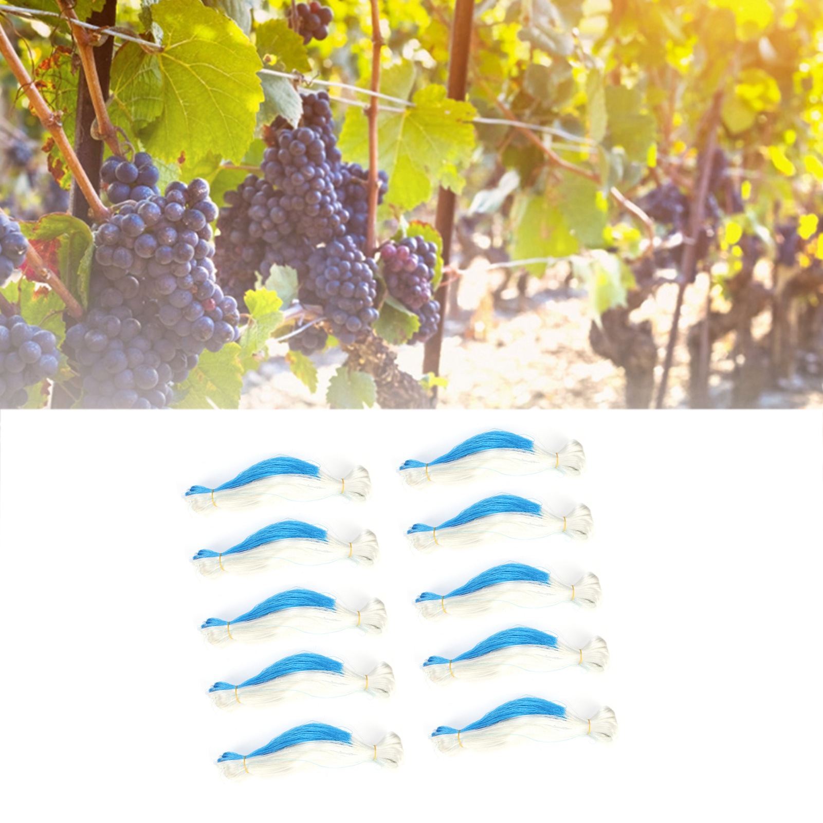 10 Stück Professionelles Ranknetz, 3-strängig, Für Klettergemüse, Obst Und Blumen