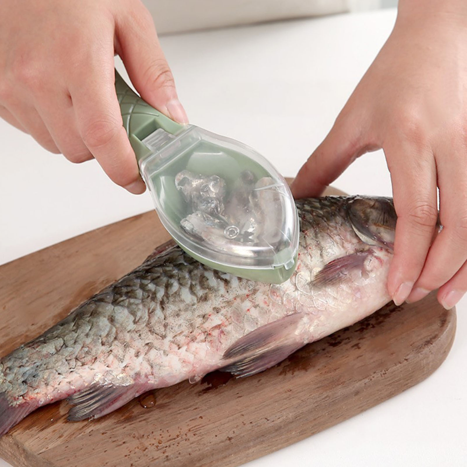 Fischschupper Praktisch, Einfach Und Schnell Zu Bedienen, Fischschupper Mit Deckel Für Die Heimische Küche