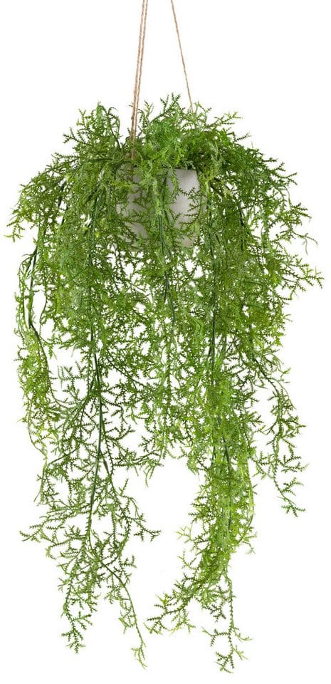 Kunstranke Moosfarn, Creativ green, Höhe 60 cm, mit üppigen Ranken