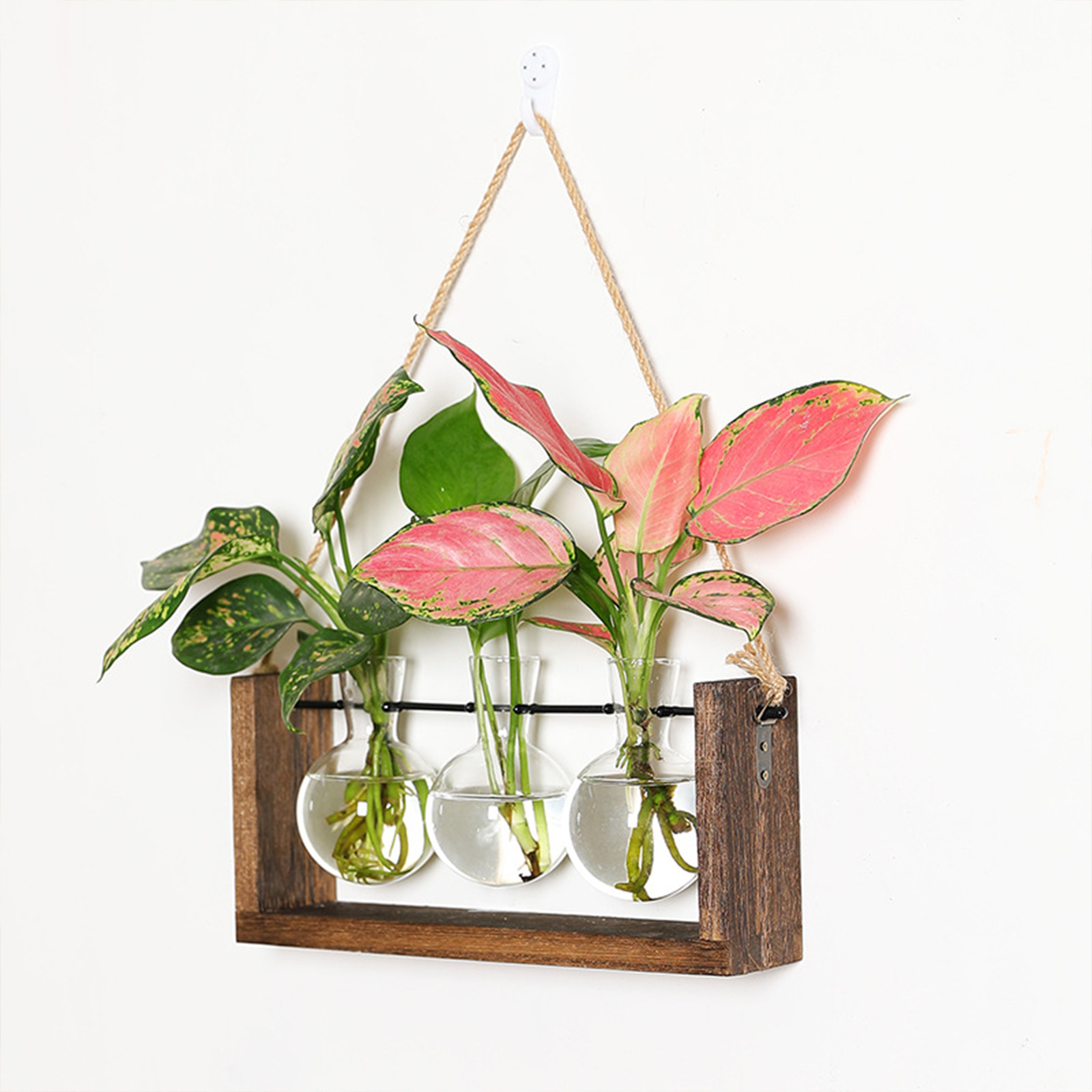 Hydroponische Wandvase, Grünpflanze, Holzrahmen, Wohnzimmer, Wohndekoration
