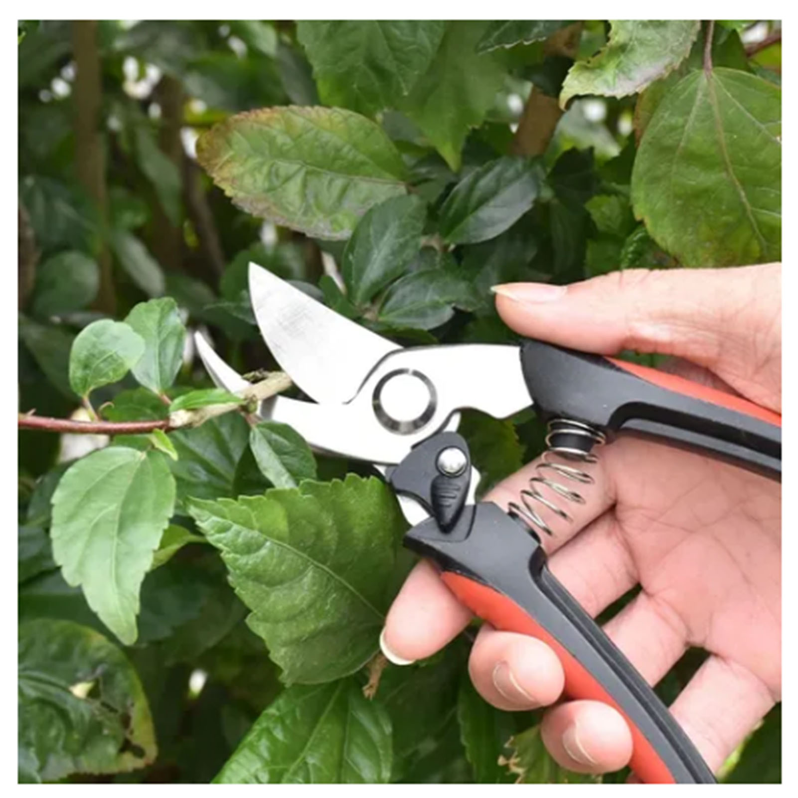 2 Stück Gartenscheren, Arbeitssparende Scheren Zum Beschneiden Dicker Obstbaumäste, Gartengeräte