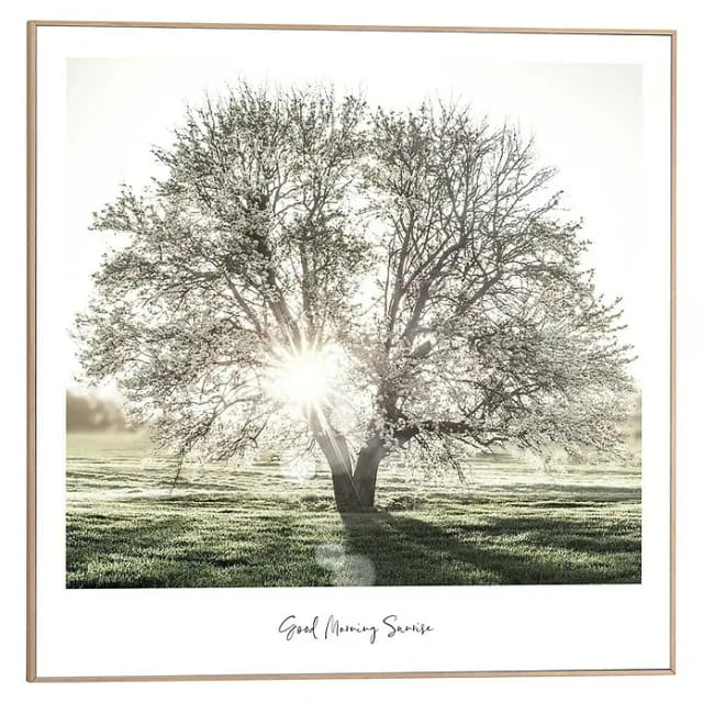 Reinders! Poster Morgensonne