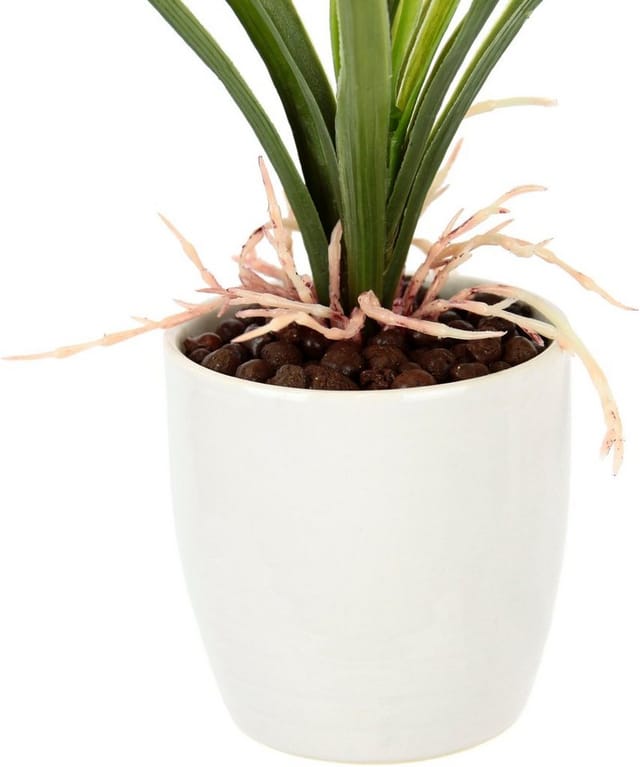 Kunstblume Orchidee, I.GE.A., Höhe 32 cm, Mit Blätter im Topf aus Keramik Künstliche Blume Cymbidium-Orchidee